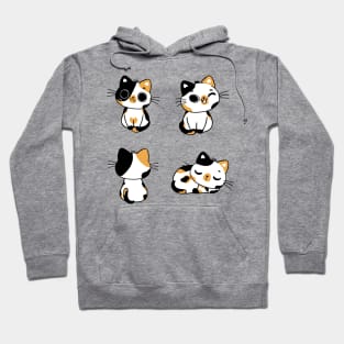 Funny Cute Calico cats Hoodie